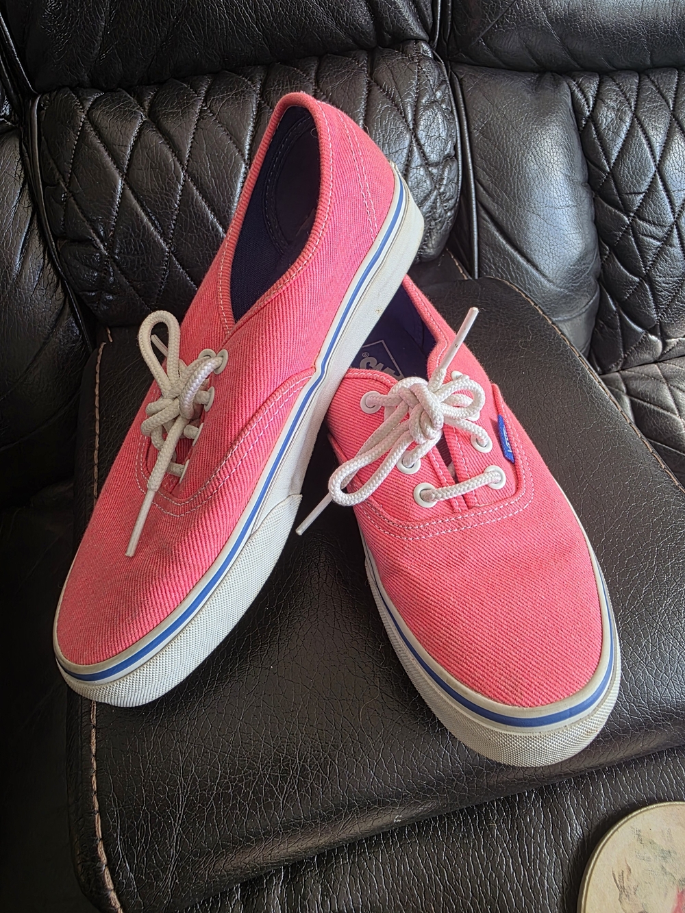 Vans Pink Canvas Lace-Up Sneakers for Women